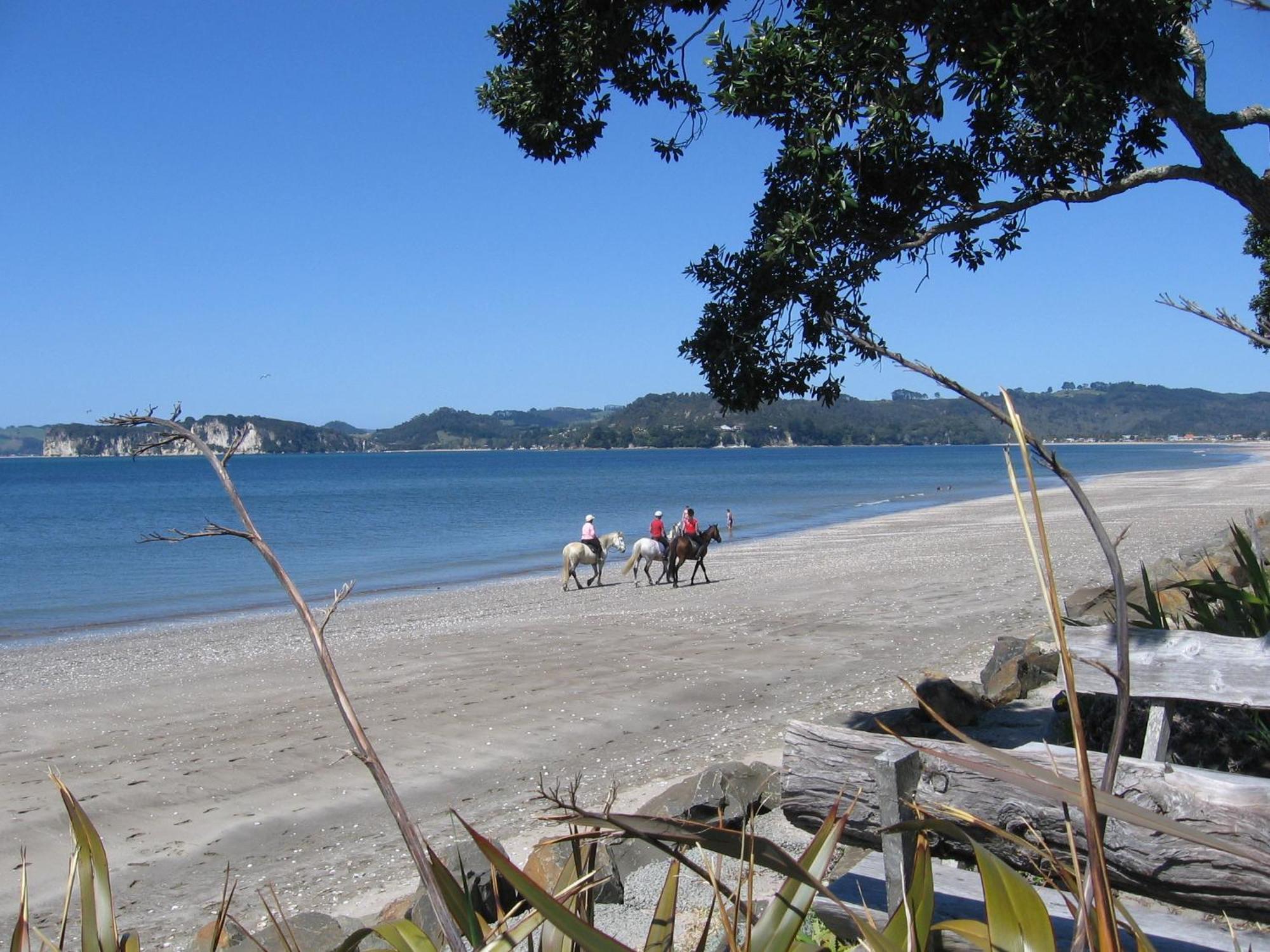 Motel Beachfront